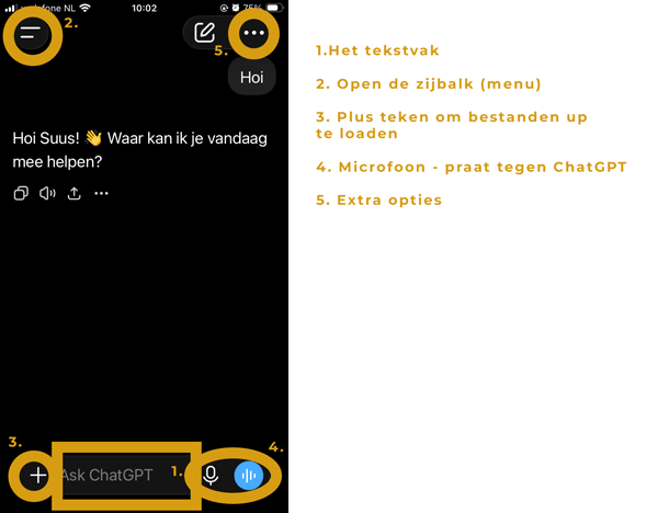 Screenshot met legende van ChatGPT